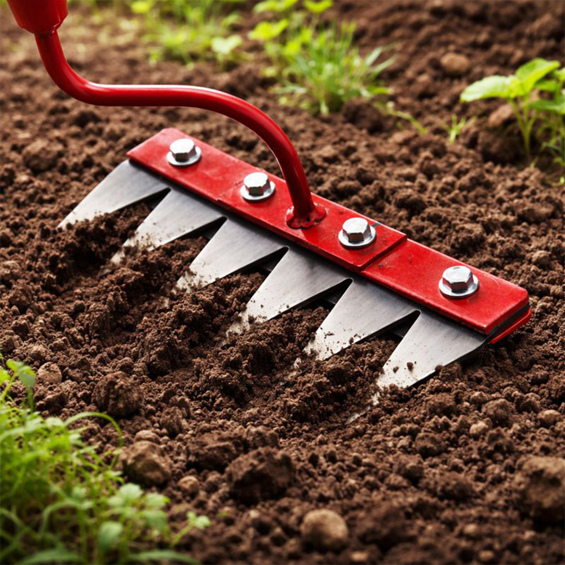 Global Nature Agro Manual Garden Weeder Tool 8 Inch | 5-Tine 2 Inch Carbon Steel Blade | Heavy Duty Hand Weeding & Soil Cultivator for Farming & Gardening (1, WeedingRake-4FT-Handle) - Image 5